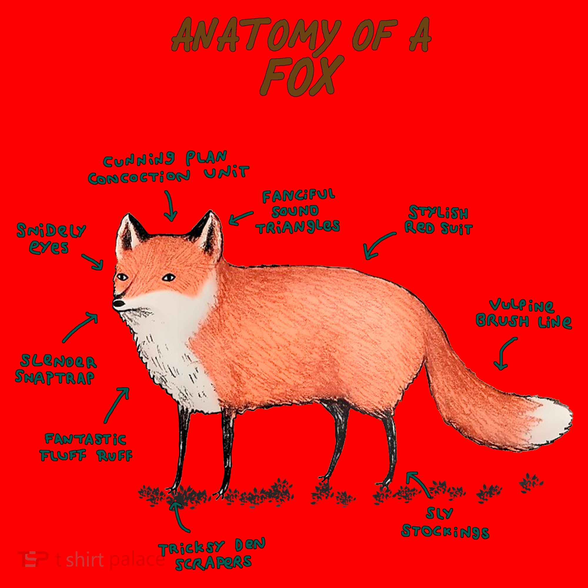 Anatomy Of A Fox Funny Cute Santa Hat