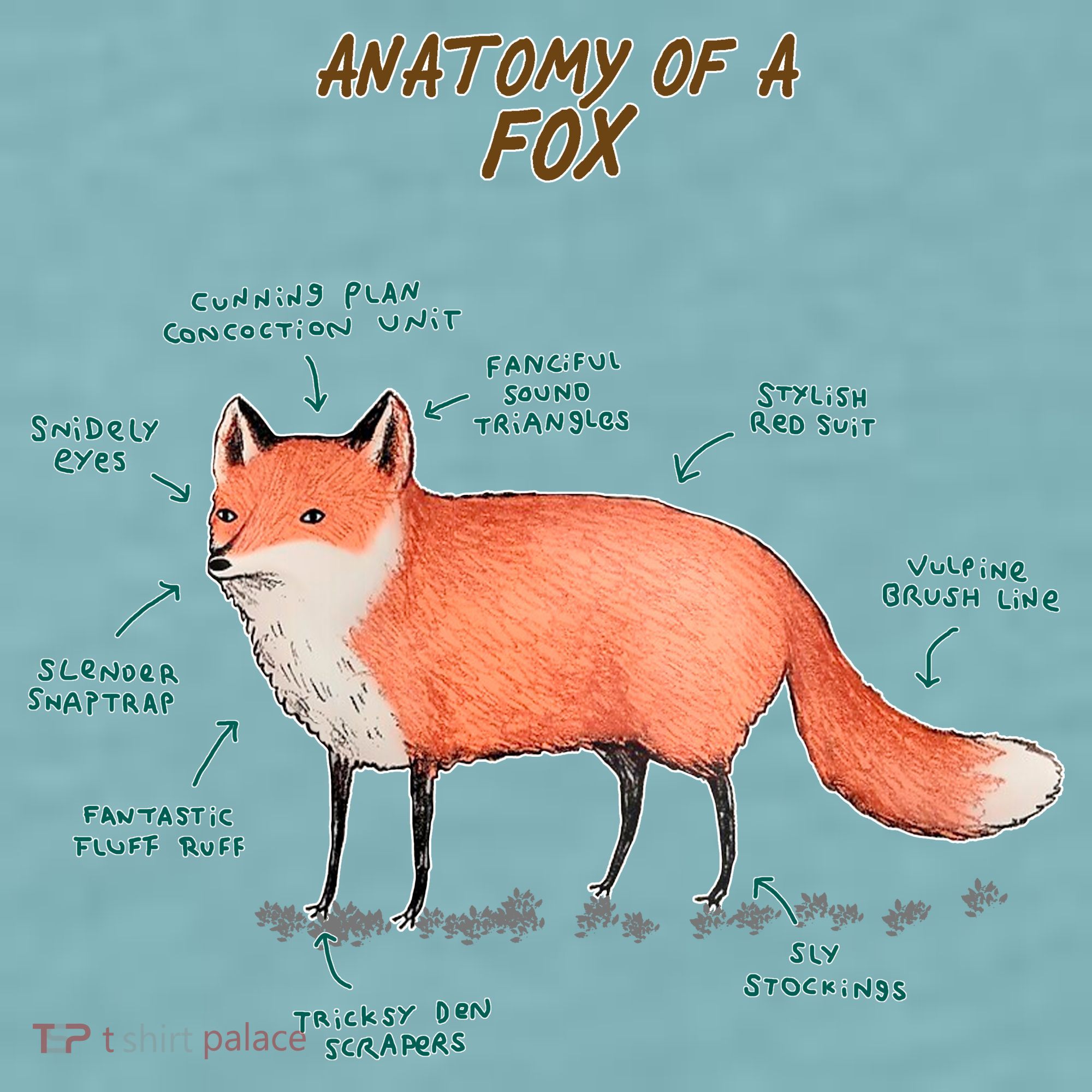 Anatomy Of A Fox Funny Cute Sueded Cloud Jersey T-Shirt