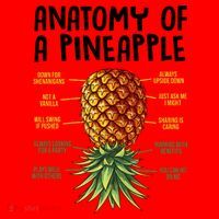 Anatomy Of A Pineapple Swinger Santa Hat thumb 1