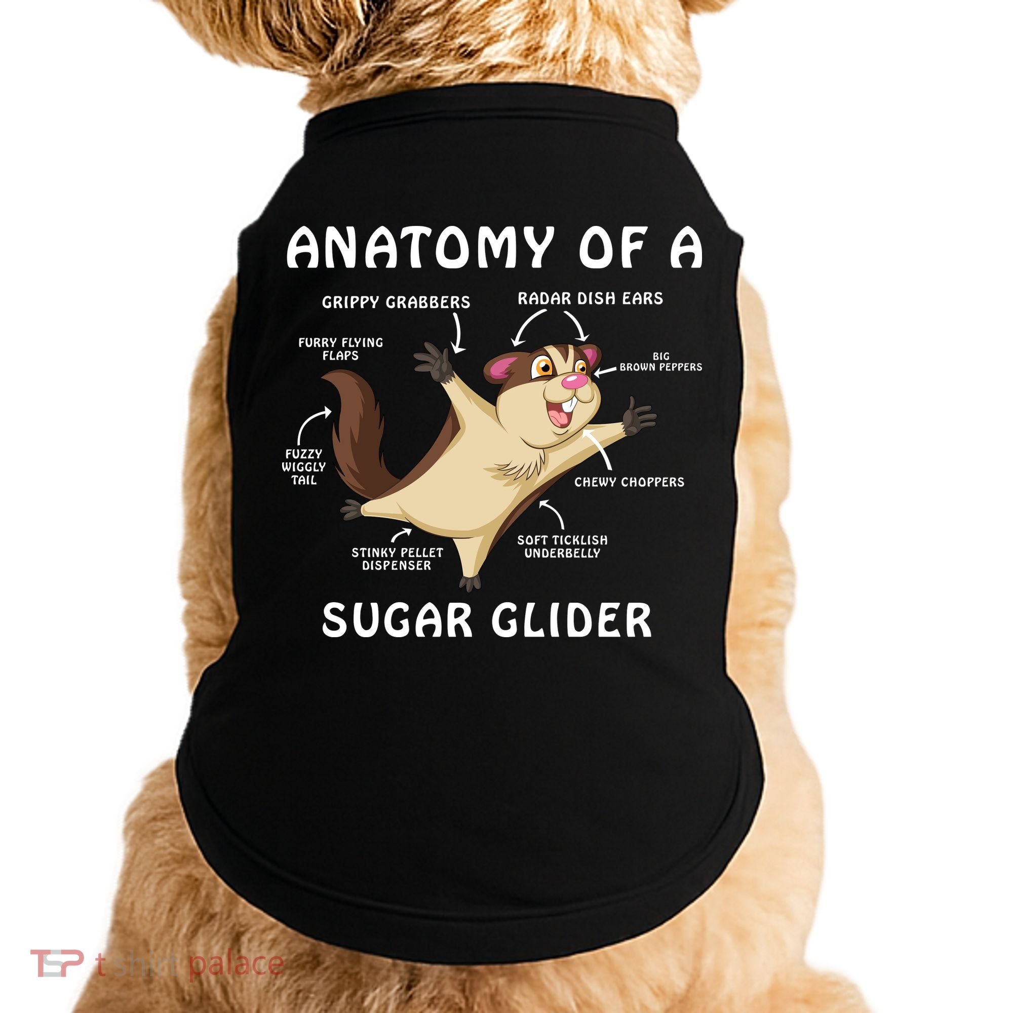 Anatomy Of A Sugar Glider Doggie Tank