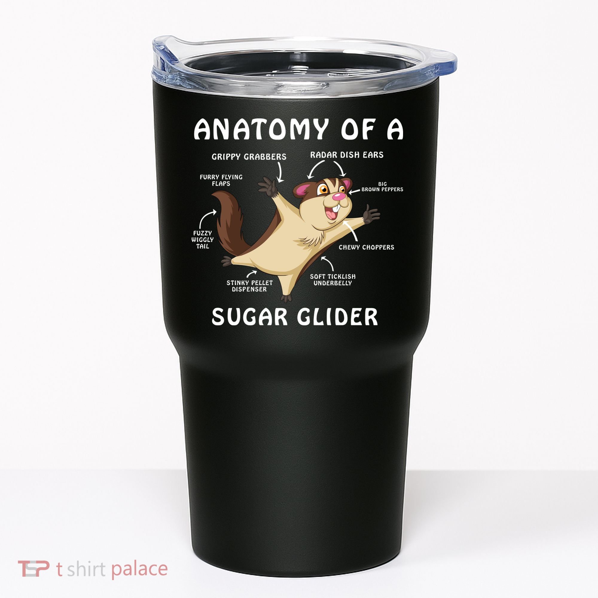 Anatomy Of A Sugar Glider Tumbler