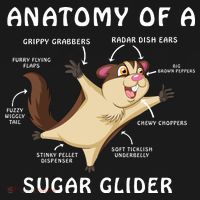 Anatomy Of A Sugar Glider Mousepad thumb 1