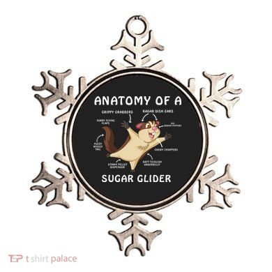 Anatomy Of A Sugar Glider Ornament