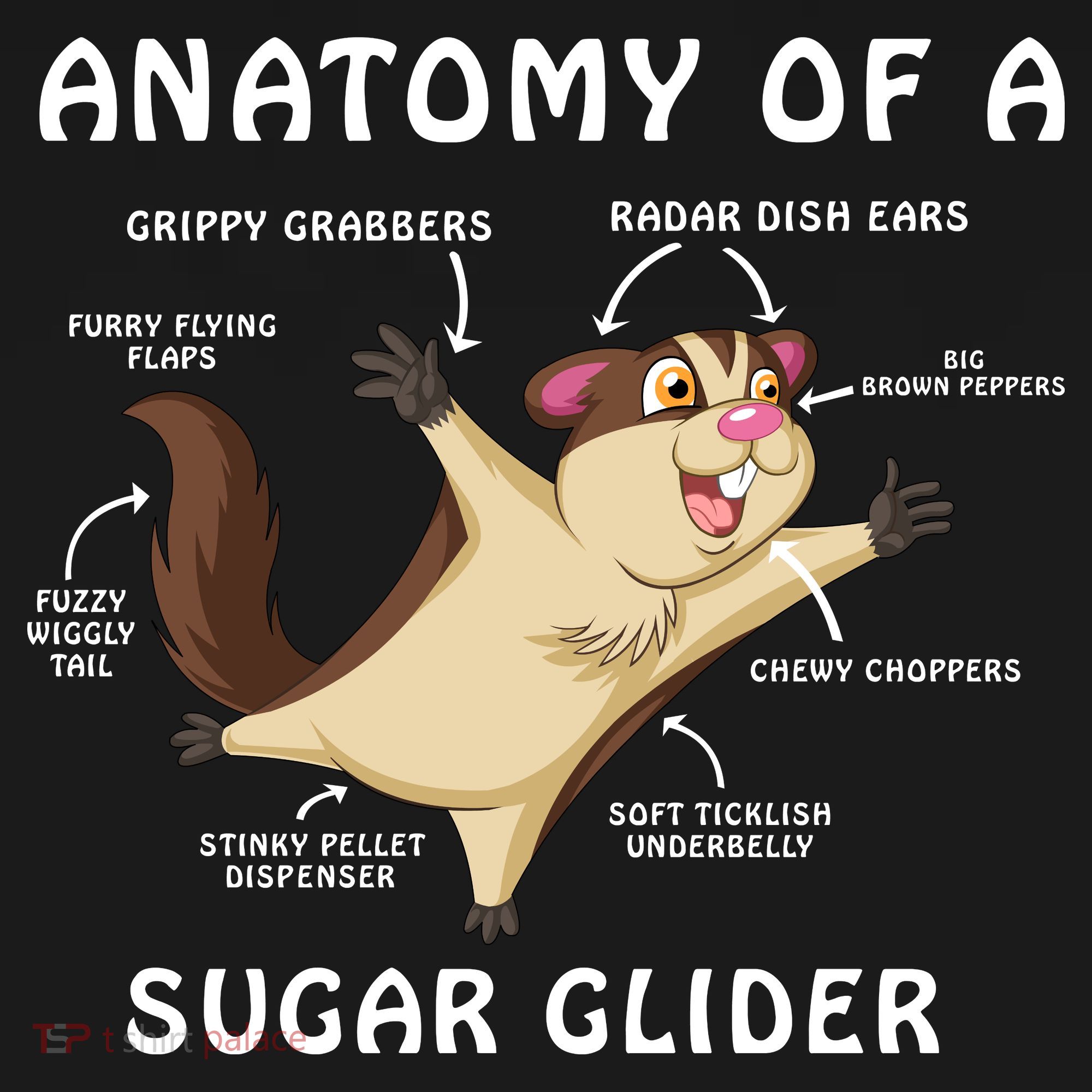 Anatomy Of A Sugar Glider Women's Tank Top