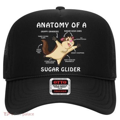 Anatomy Of A Sugar Glider Hat