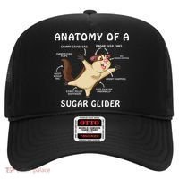 Anatomy Of A Sugar Glider Hat thumb 0
