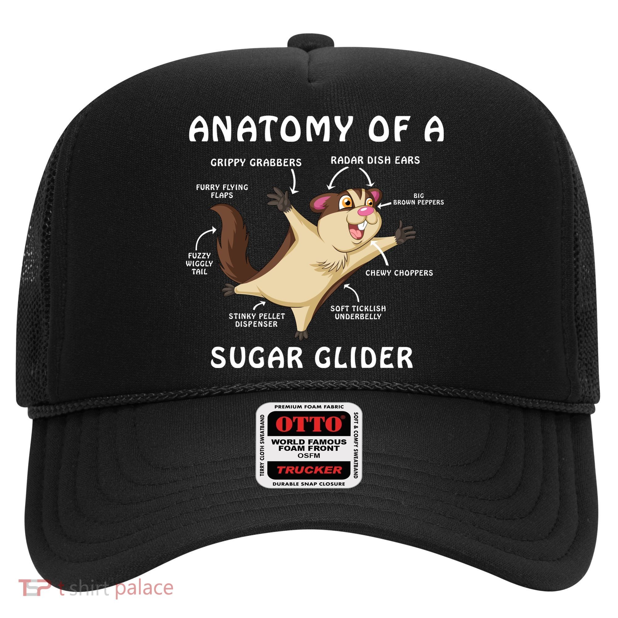 Anatomy Of A Sugar Glider Hat