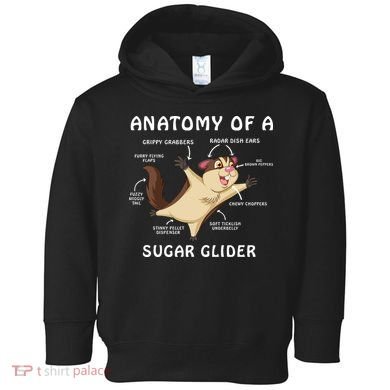 Anatomy Of A Sugar Glider Toddler Hoodie