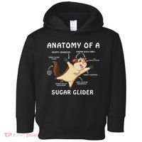 Anatomy Of A Sugar Glider Toddler Hoodie thumb 0
