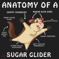Anatomy Of A Sugar Glider Golf Towel thumb 3