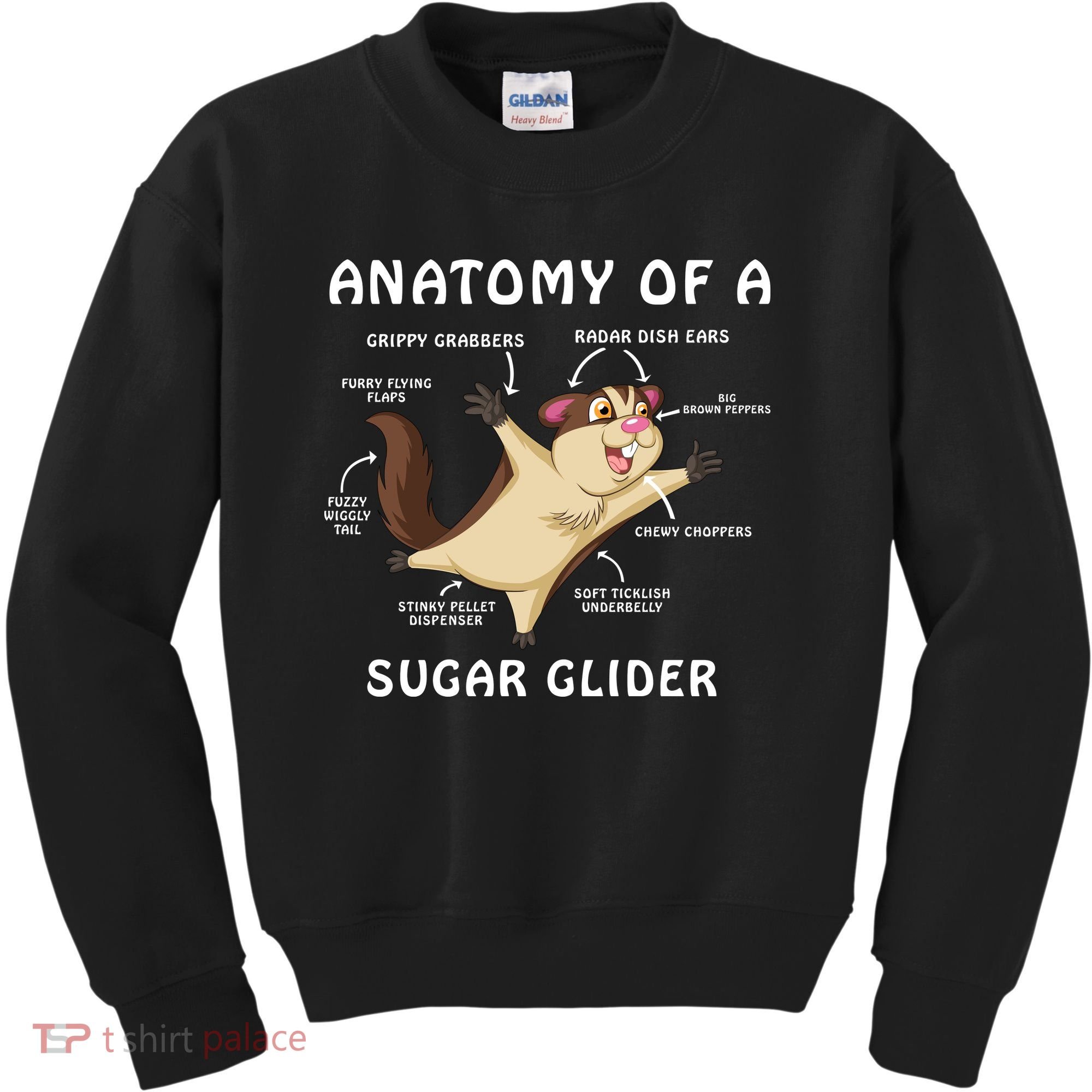 Anatomy Of A Sugar Glider Kids Sweatshirt