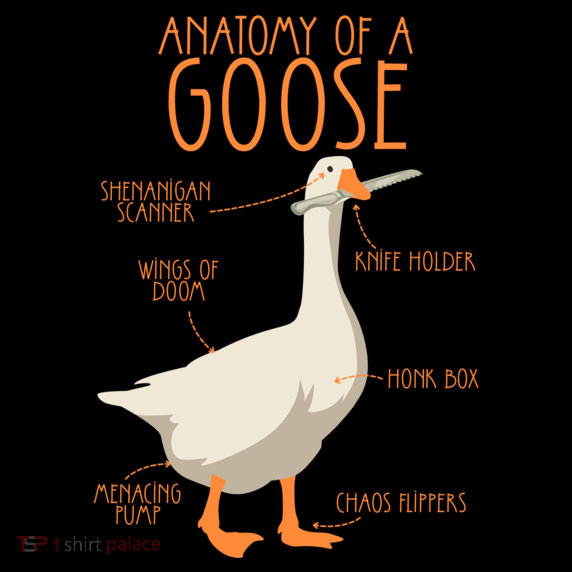 Anatomy Of A Goose Water Bird Duckling Coffee Mug