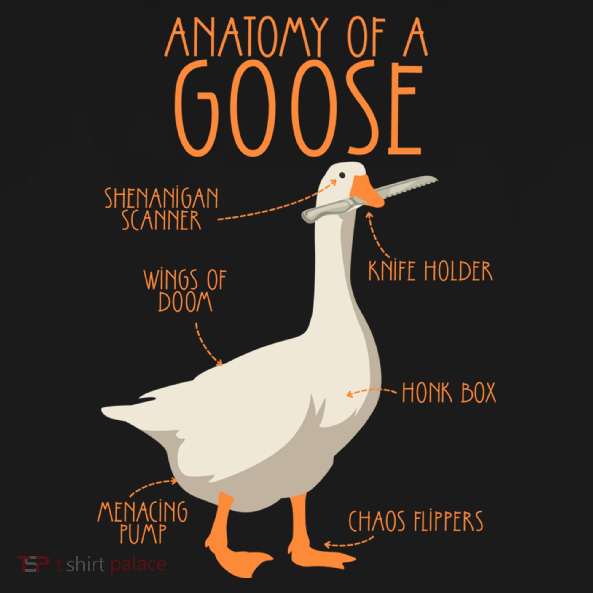 Anatomy Of A Goose Water Bird Duckling Polo