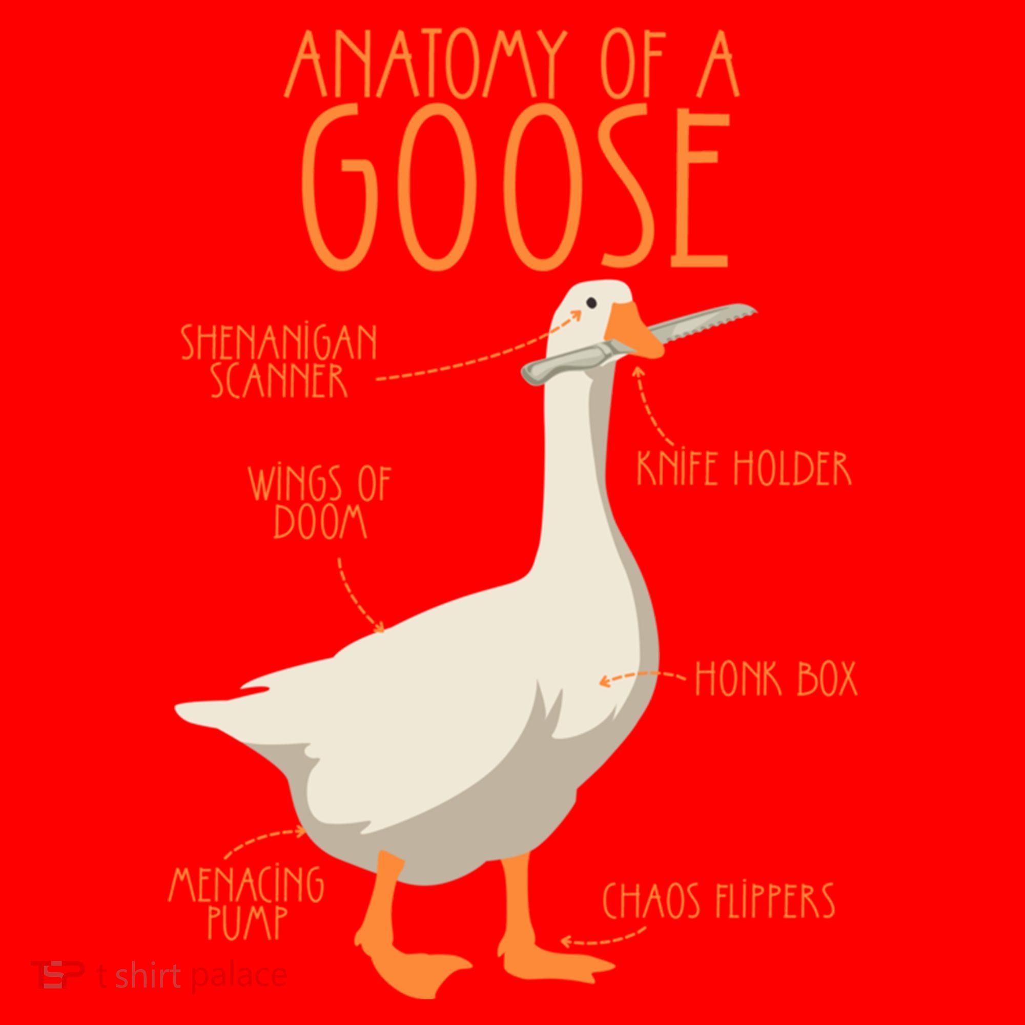 Anatomy Of A Goose Water Bird Duckling Santa Hat