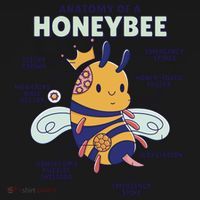 Anatomy Of A Honeybee Bumblebee Women's Hoodie thumb 2