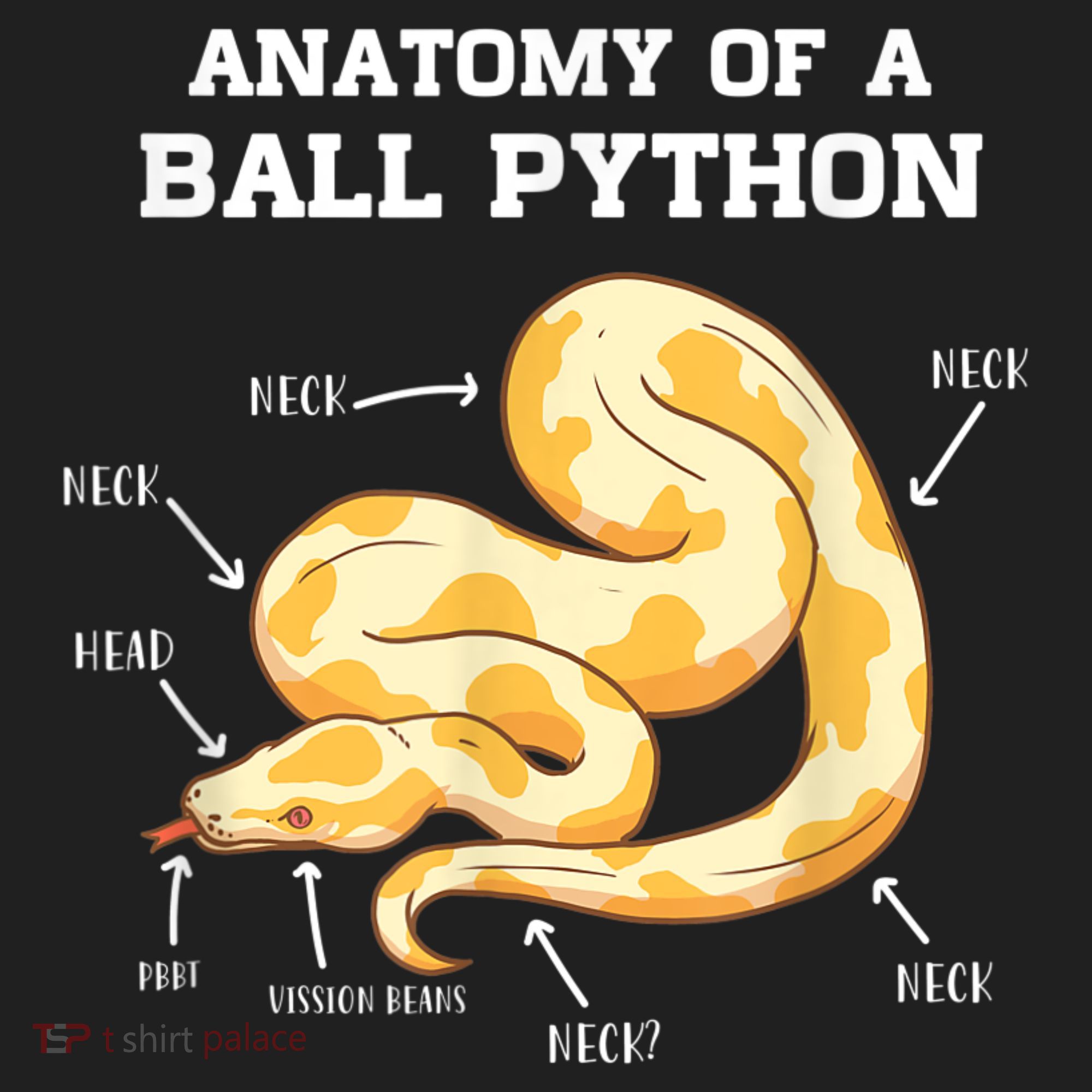 Anatomy Of A Ball Python Reptile Snake Owner Women's Sweatshirt