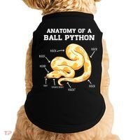 Anatomy Of A Ball Python Reptile Snake Owner Doggie Tank thumb 0