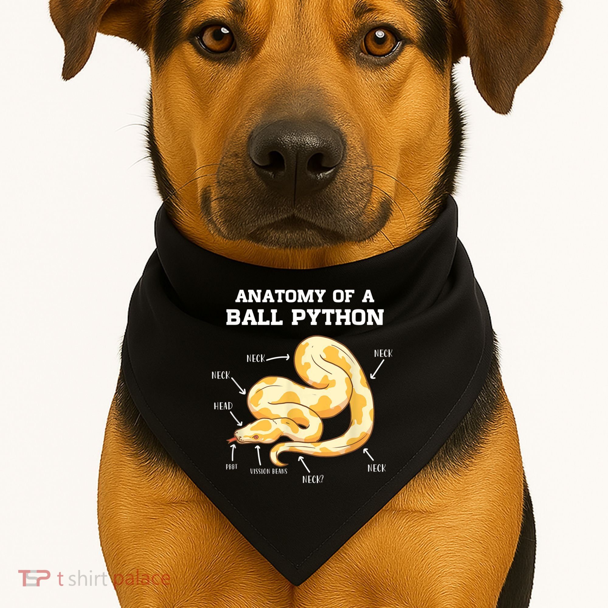 Anatomy Of A Ball Python Reptile Snake Owner USA-Made Doggie Bandana