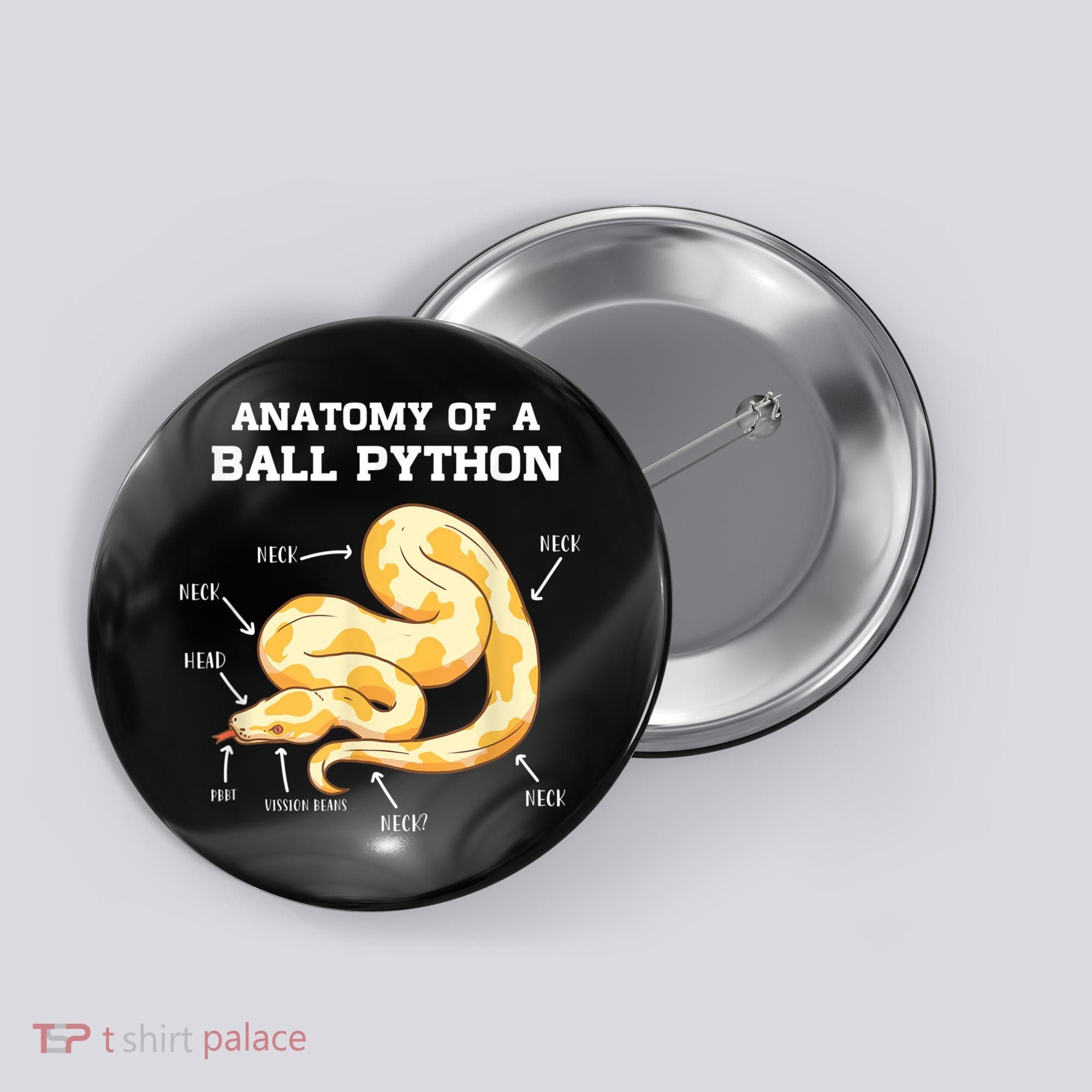 Anatomy Of A Ball Python Reptile Snake Owner Button