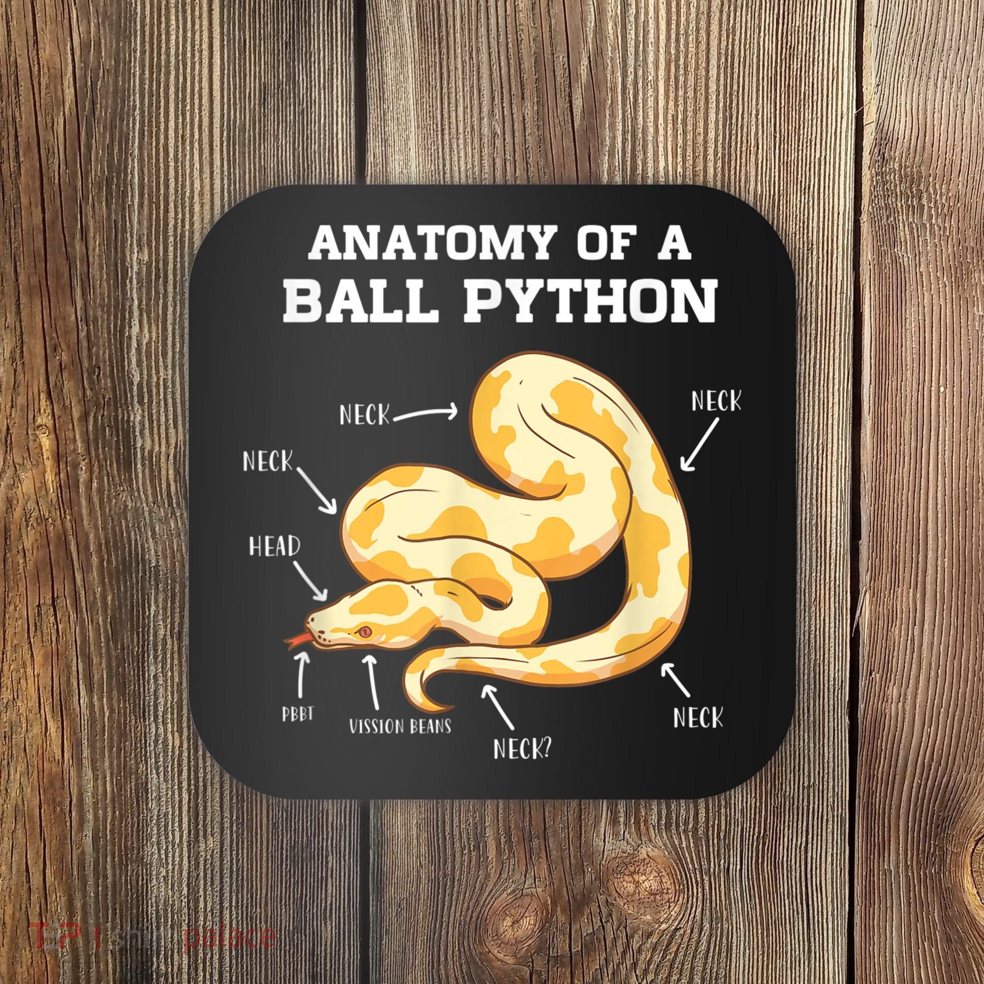 Anatomy Of A Ball Python Reptile Snake Owner Coaster