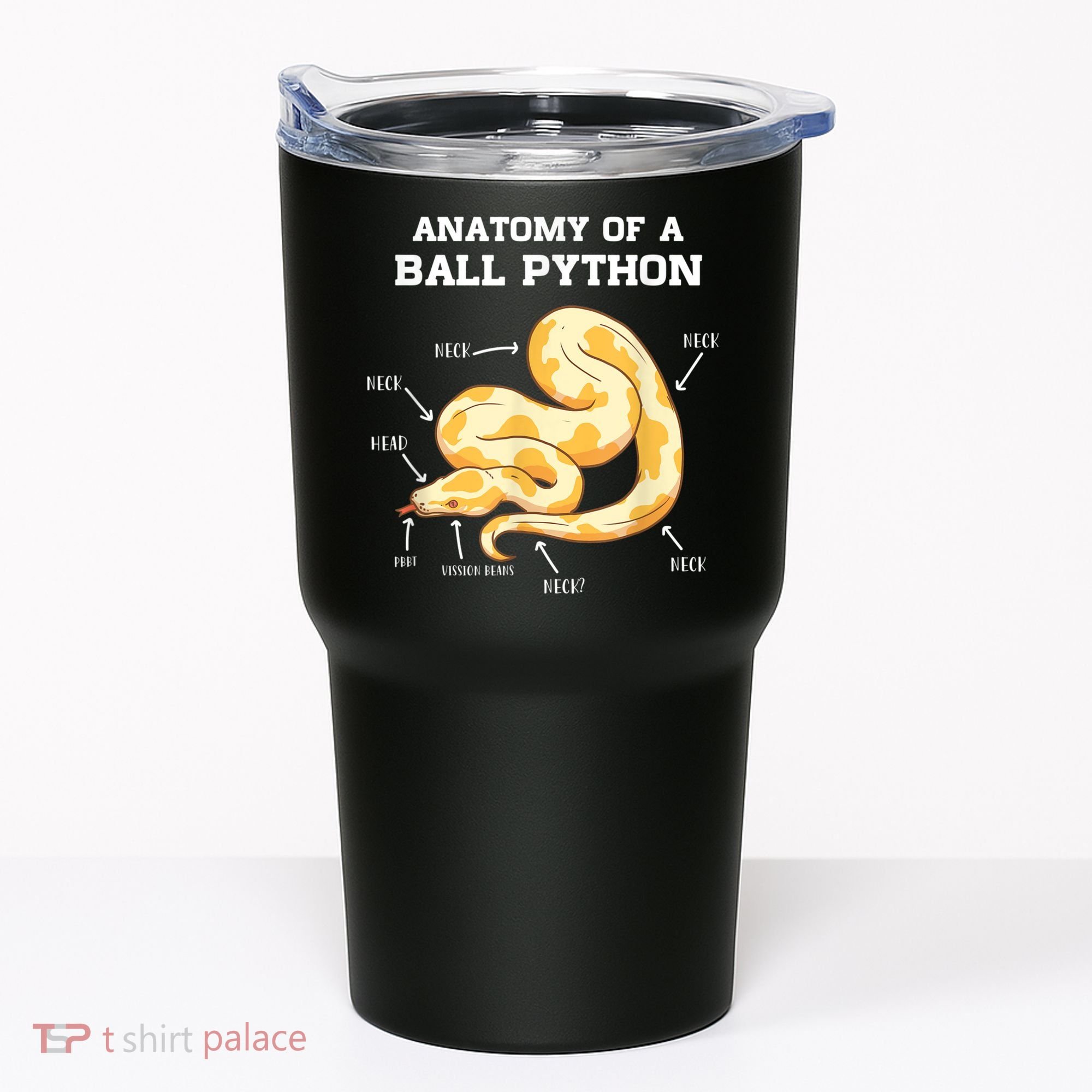 Anatomy Of A Ball Python Reptile Snake Owner Tumbler