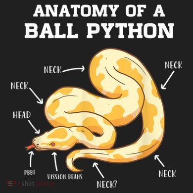 Anatomy Of A Ball Python Reptile Snake Owner 24oz Duet Stainless Steel Tumbler