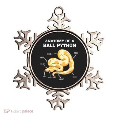 Anatomy Of A Ball Python Reptile Snake Owner Ornament