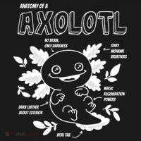 Anatomy Of A Axolotl Ornament thumb 1