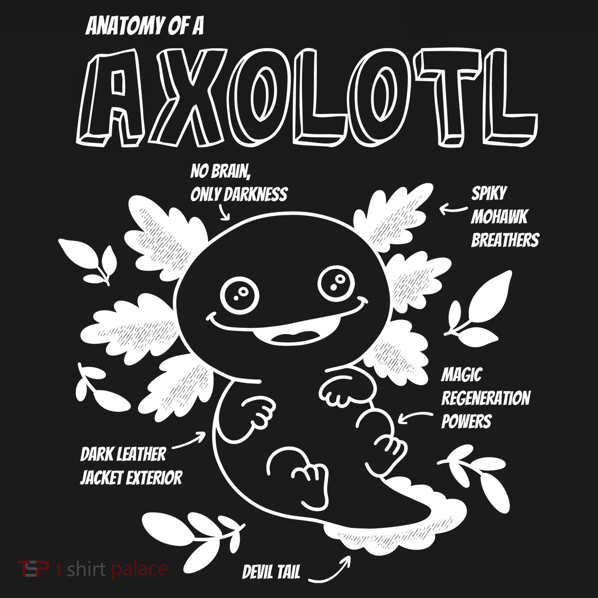 Anatomy Of A Axolotl Ornament
