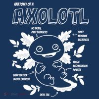 Anatomy Of A Axolotl Sweatshirt thumb 3