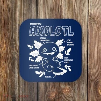 Anatomy Of A Axolotl Coaster