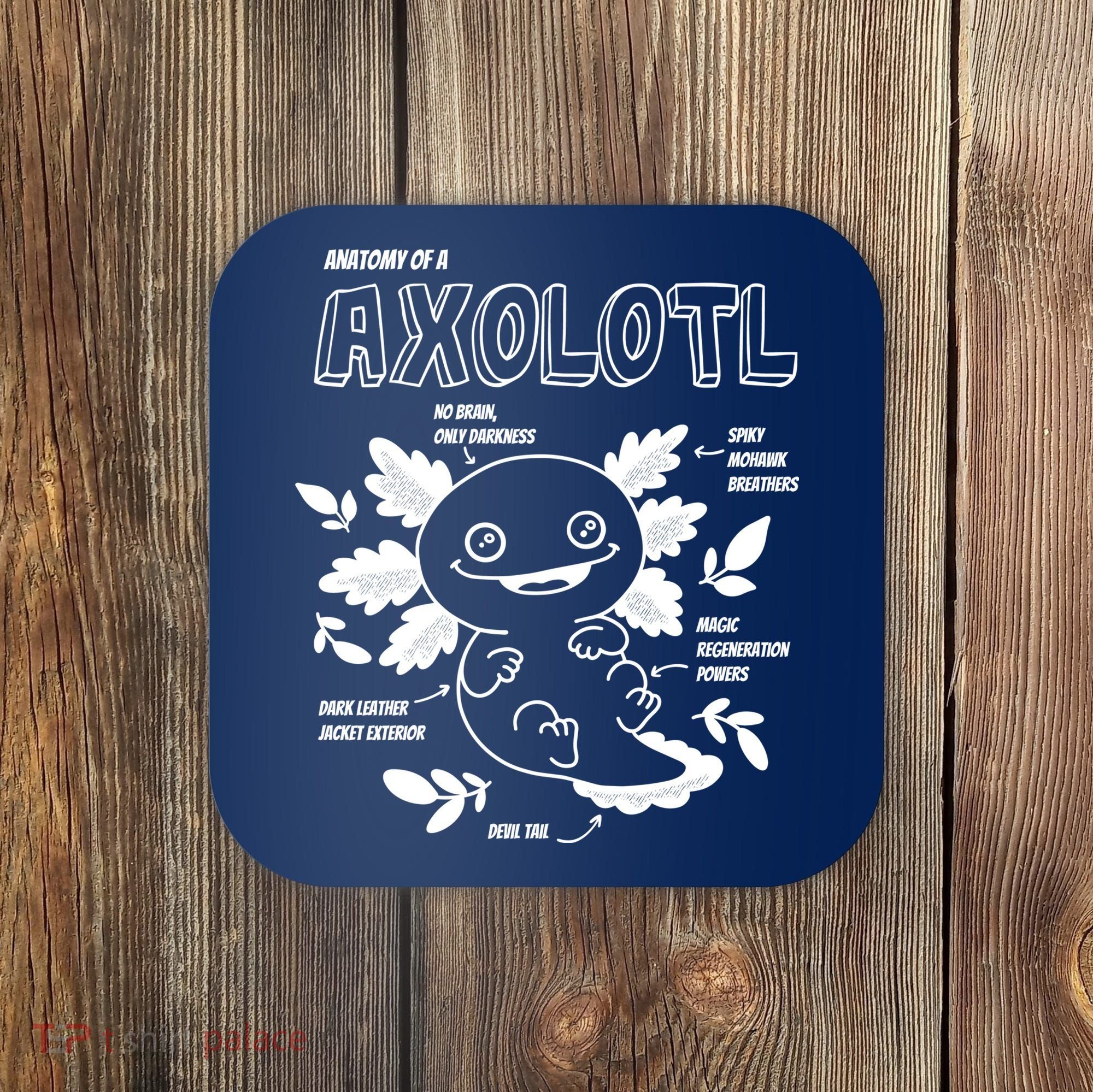 Anatomy Of A Axolotl Coaster