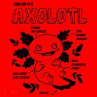 Anatomy Of A Axolotl Santa Hat thumb 1