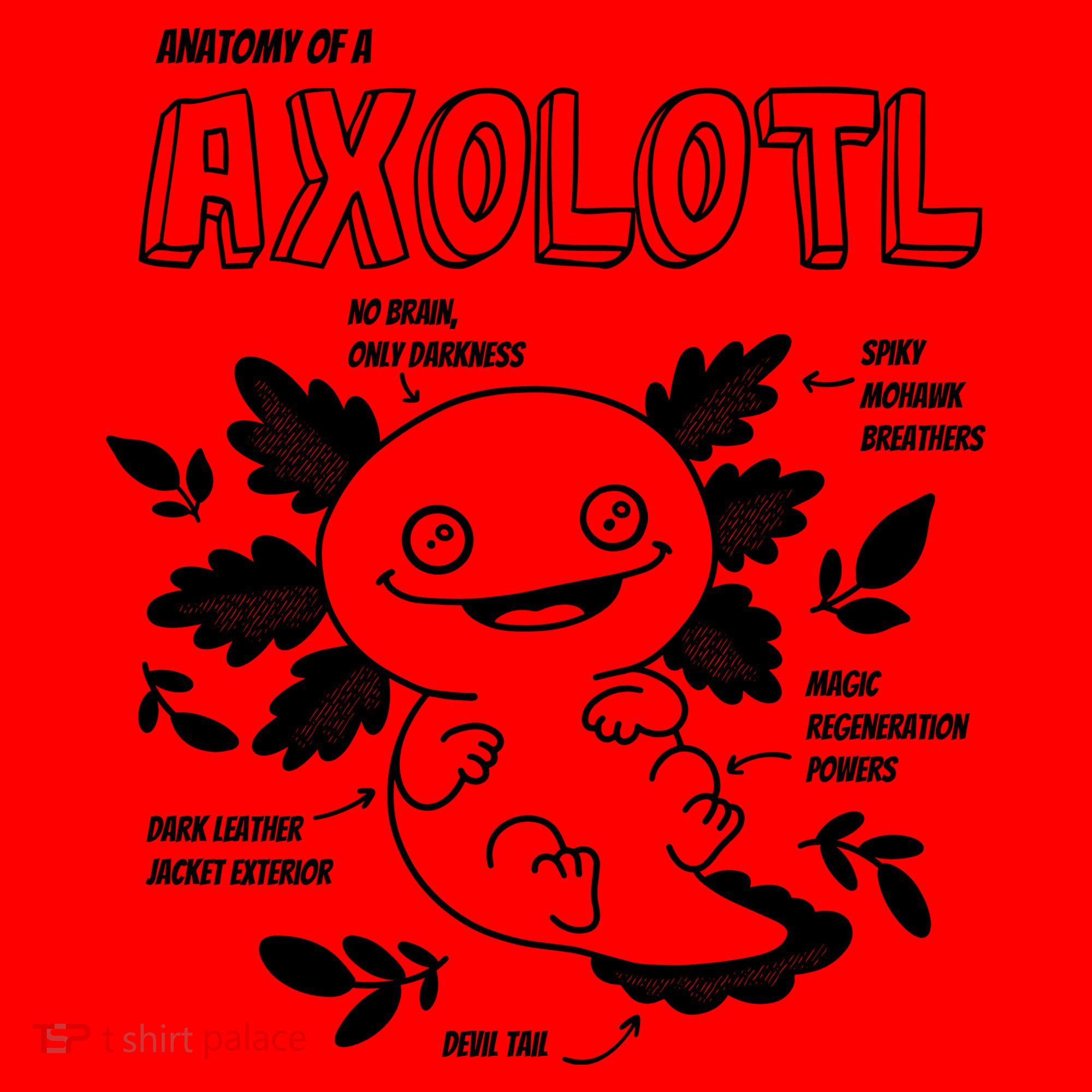 Anatomy Of A Axolotl Santa Hat
