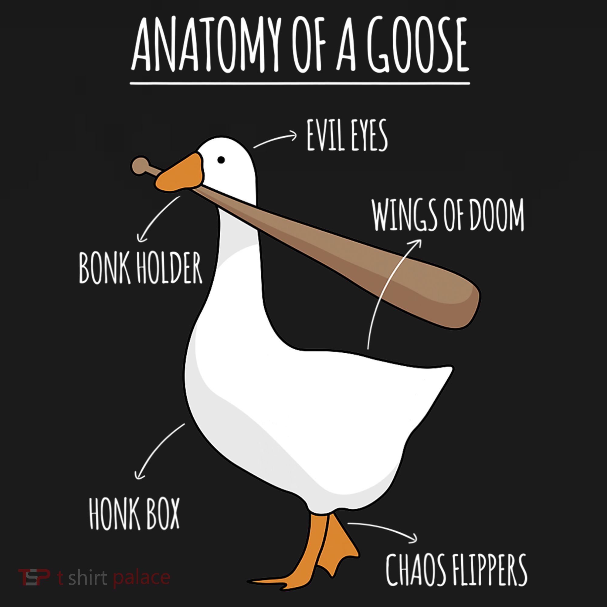 Anatomy Of A Goose Meme Coaster