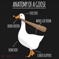 Anatomy Of A Goose Meme Baby Bodysuit thumb 2