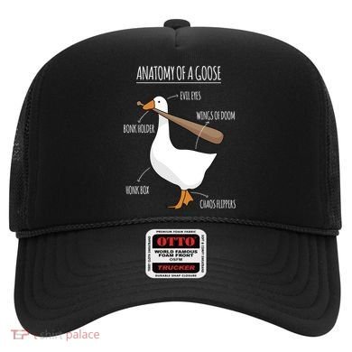 Anatomy Of A Goose Meme Hat