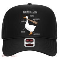 Anatomy Of A Goose Meme Hat thumb 0