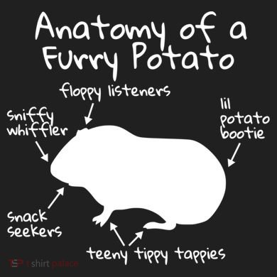 Anatomy Of A Furry Potato Funny Guinea Pig Gift Meaningful Gift 24oz Duet Stainless Steel Tumbler