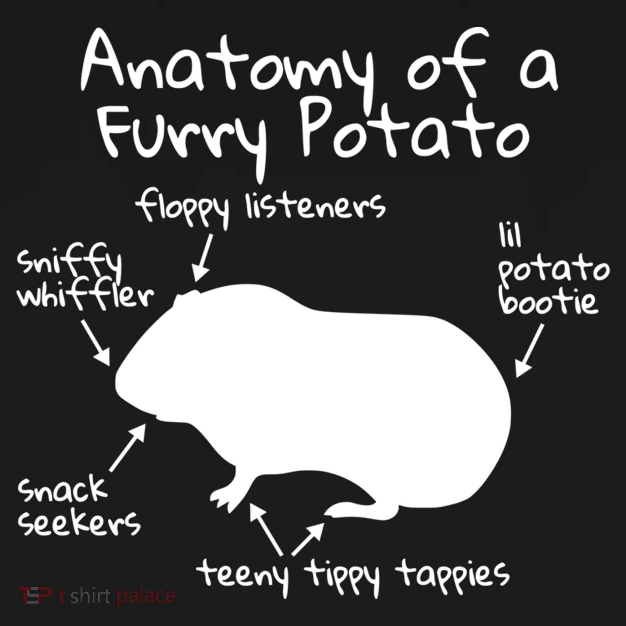 Anatomy Of A Furry Potato Funny Guinea Pig Gift Meaningful Gift Cooling Performance Long Sleeve Crew