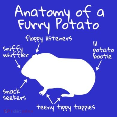 Anatomy Of A Furry Potato Funny Guinea Pig Gift Meaningful Gift Tall Sweatshirt