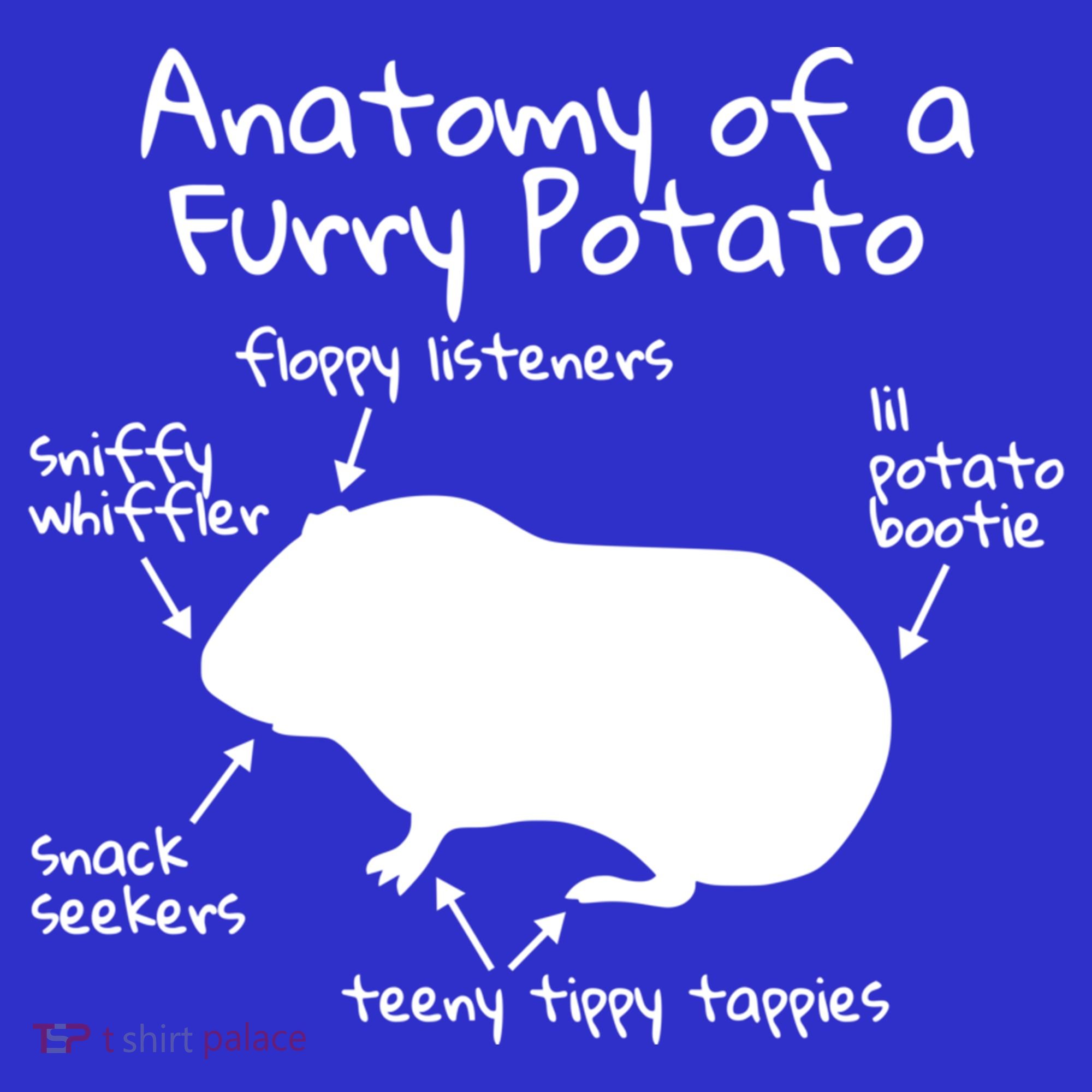 Anatomy Of A Furry Potato Funny Guinea Pig Gift Meaningful Gift Tall Sweatshirt