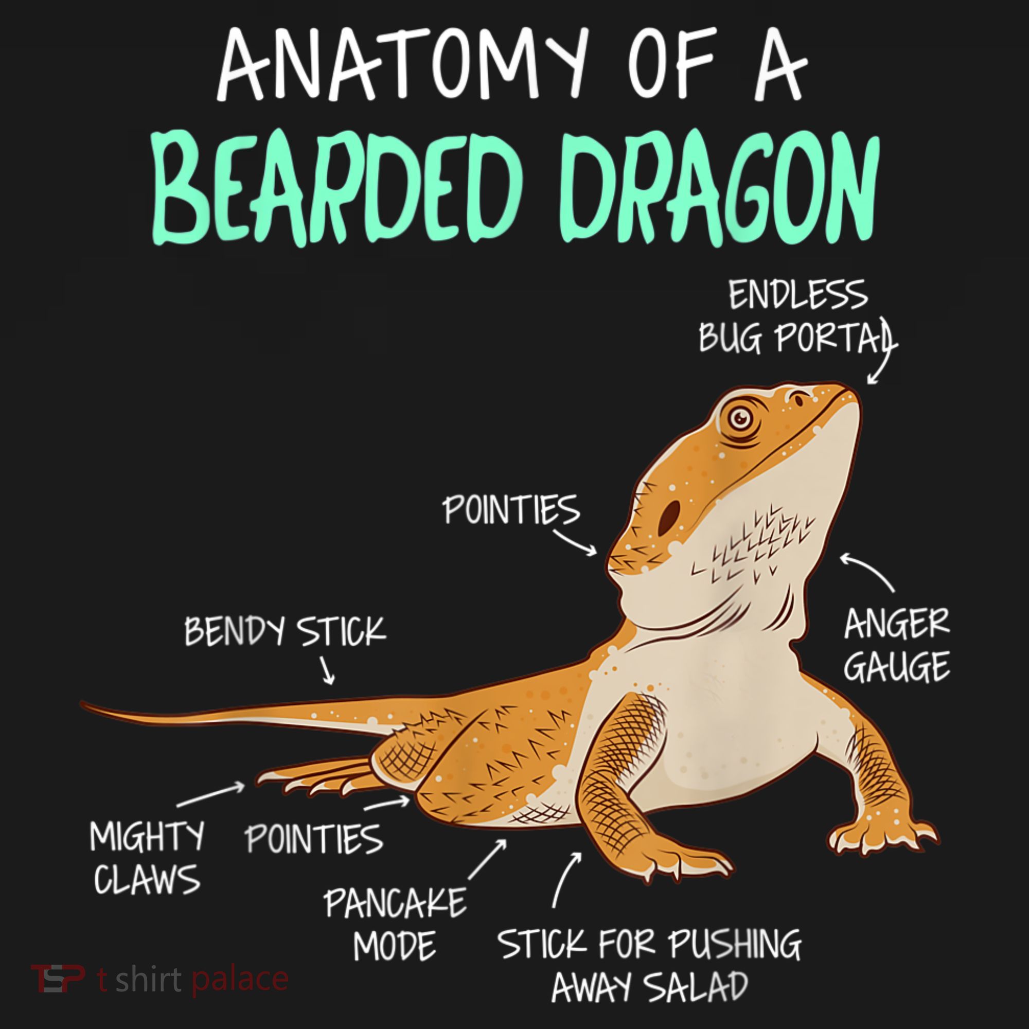 Anatomy Of A Bearded Dragon Bearded Dragon Lizard Pogona Reptile Sweatshirt