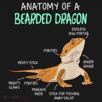 Anatomy Of A Bearded Dragon Bearded Dragon Lizard Pogona Reptile T-Shirt thumb 7