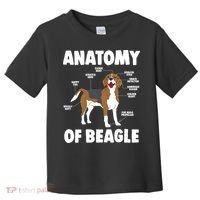 Anatomy Of A Beagle Meaningful Gift Toddler T-Shirt thumb 0