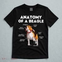 Anatomy of a Beagle Funny Beagle Dog Lover T-Shirt thumb 5