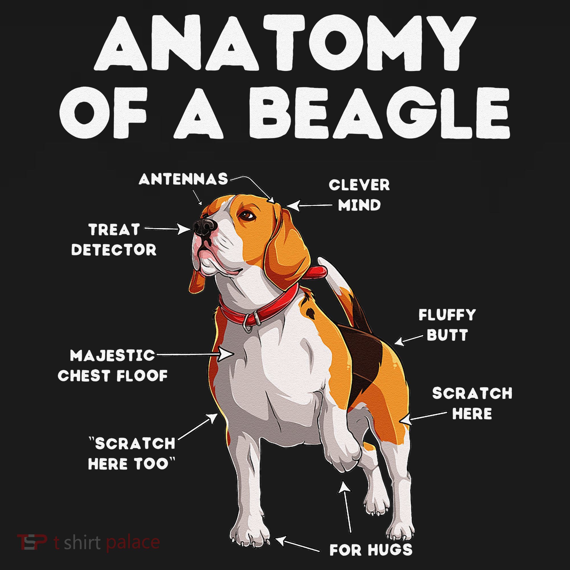 Anatomy of a Beagle Funny Beagle Dog Lover Visor