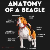 Anatomy of a Beagle Funny Beagle Dog Lover Women's T-Shirt thumb 6