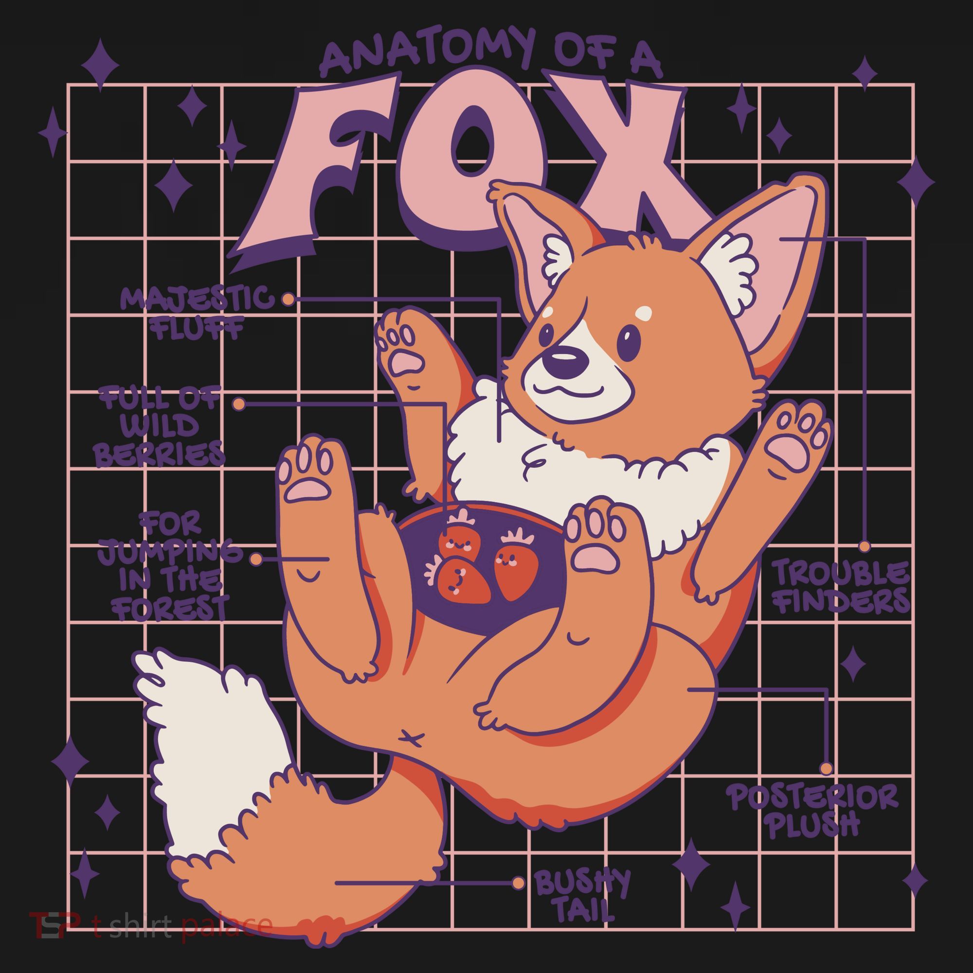 Anatomy Of A Fox Coaster