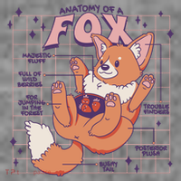 Anatomy Of A Fox Hoodie thumb 7